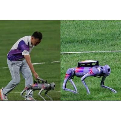 На Азиатских играх в Ханчжоу во время соревнований по метанию диска специальные роботы-собаки уносили снаряды с газона стадиона