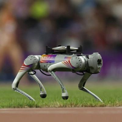 На Азиатских играх в Ханчжоу во время соревнований по метанию диска специальные роботы-собаки уносили снаряды с газона стадиона