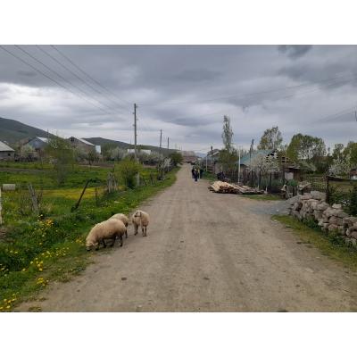 'Armenian future' реализует проект создания модели современного армянского села