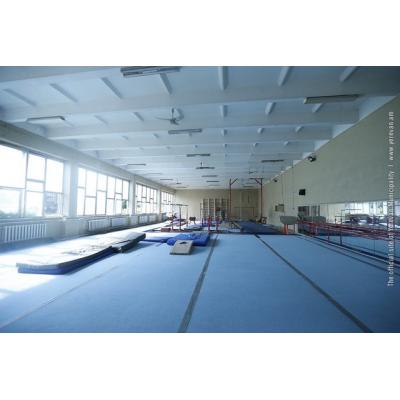 Спустя полгода армянские гимнасты вновь возобновили тренировочный процесс в спортзале, готовясь к международному турниру в Киеве