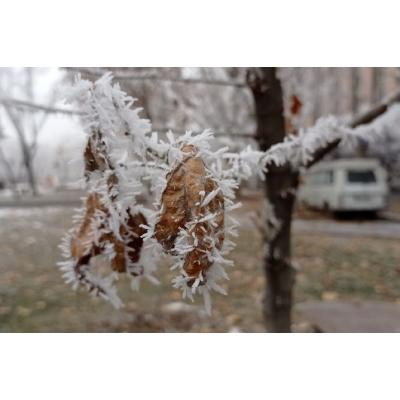 Что же происходит с погодой и как долго продержится такая аномалия?