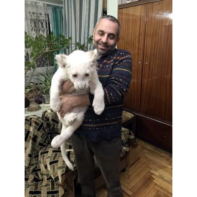 ПОСОЛ МЕЖДУ ПРИРОДОЙ И ЛЮДЬМИ