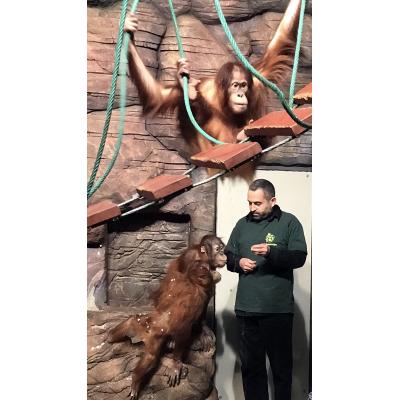 ПОСОЛ МЕЖДУ ПРИРОДОЙ И ЛЮДЬМИ