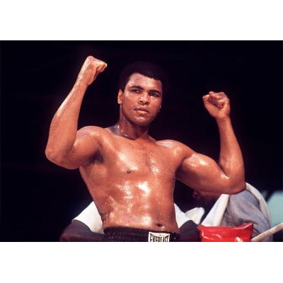 17 января исполнилось бы 80 лет одному из самых популярных спортсменов в истории – боксеру Мухаммеду Али