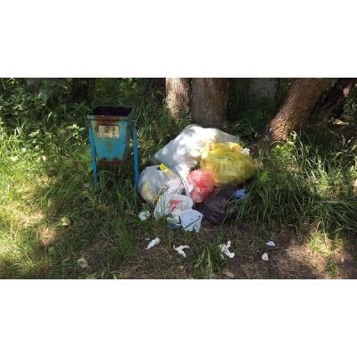 Проблемы мусора не решаются