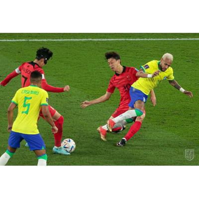 На чемпионате мира по футболу в Катаре состоялись матчи 1/8 финала Япония – Хорватия, Бразилия – Южная Корея