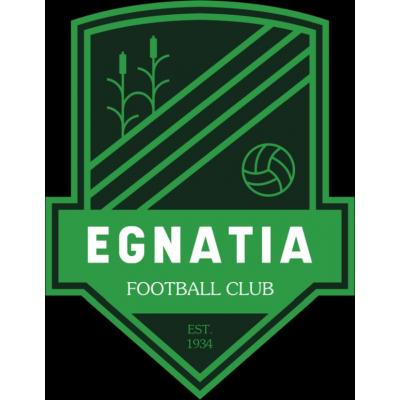 Скоро начнется новый сезон еврокубков УЕФА