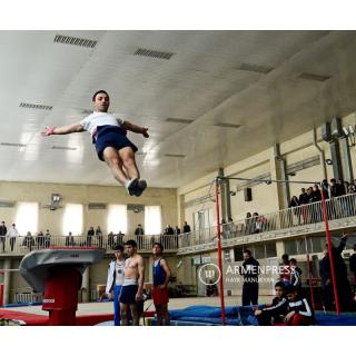 В Ереване завершился чемпионат Армении по спортивной гимнастике среди мужчин и женщин