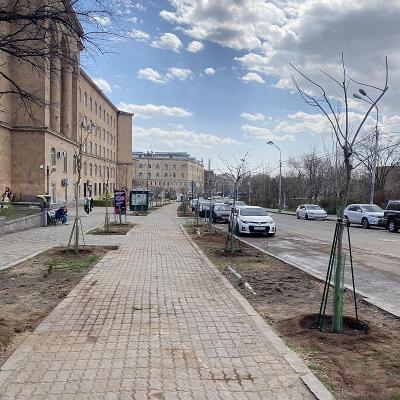 КОГДА ДЕРЕВЬЯ БЫЛИ БОЛЬШИМИ...
