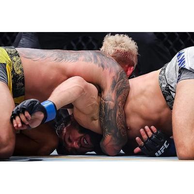 Судья MMA армянского происхождения Майкл Белл принял странное решение в поединке между Арманом Царукяном и Чарльзом Оливейрой не в пользу соотечественника