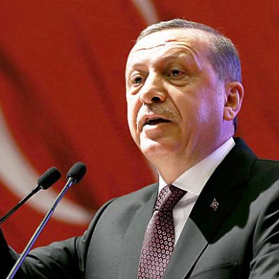 Досрочные парламентские выборы в Турции, намеченные на 1 ноября, продемонстрируют, достигла ли своих целей политическая стратегия президента страны Тайипа Эрдогана