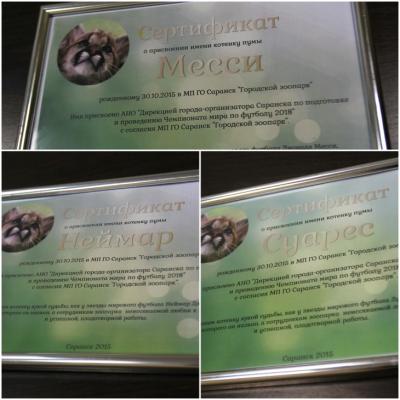 Официальные сертификаты о присвоении котятам пумы имен нападающих 'Барселоны'
