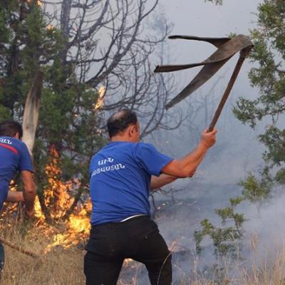 Директор заповедника 'Хосровский лес': Ущерб от пожара неоценим