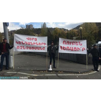 Не стихают бурные страсти вокруг Ереванского зоопарка