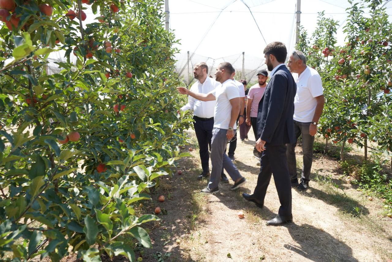 ПРОДБЕЗОПАСНОСТЬ В САДУ У МИНИСТРА ПАПОЯНА