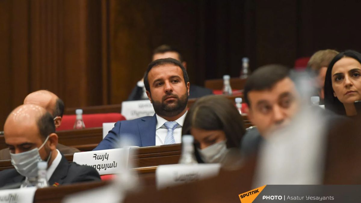 Оппозиция НС поддержала проект провластного депутата по армии